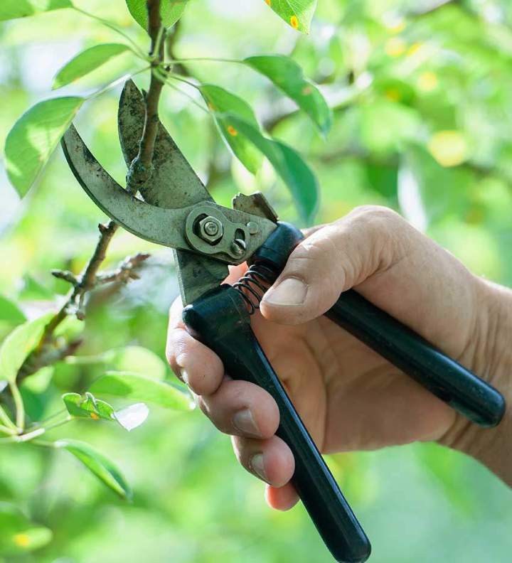 Pour une gestion durable, raisonnée et simplifiée de votre jardin