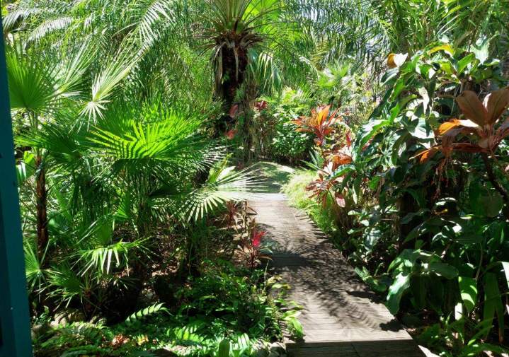 travaux de menuiserie extérieure La Réunion