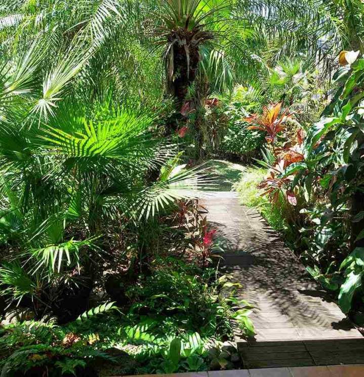 Entretien de jardins La Réunion