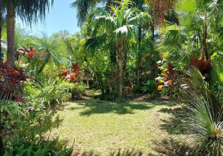 Abattage La Réunion