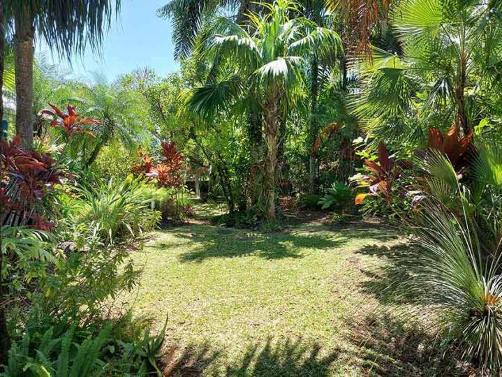 Entretien paysager La Réunion