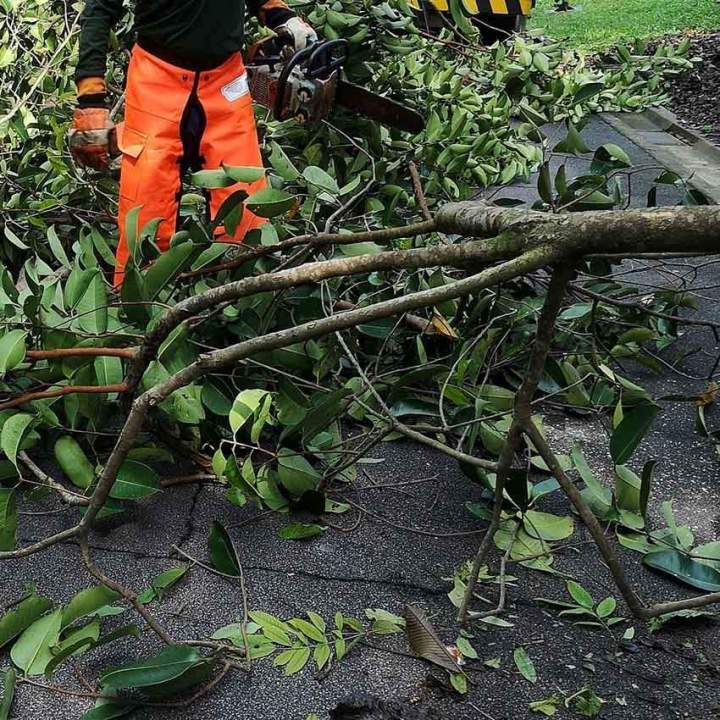 Abattage, en préservant vos espaces