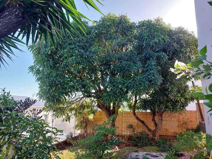 Entretien de jardins La Réunion