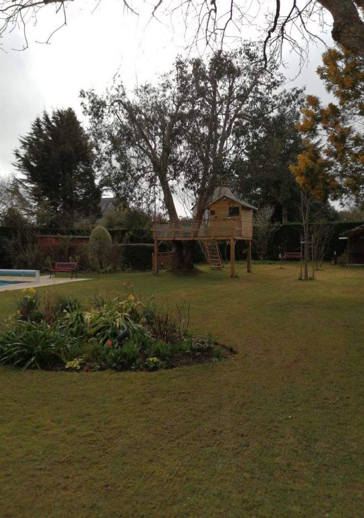 Taille et soins d'arbres La Réunion