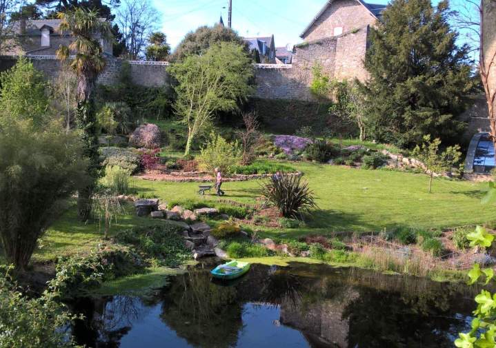 Soins préventifs pour les arbres La Réunion