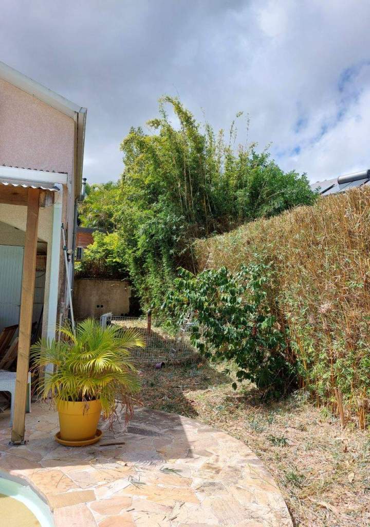 Abattage d'arbres  La Réunion